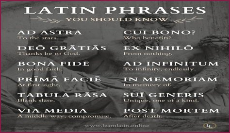 A Profile Of A Latin Beauty