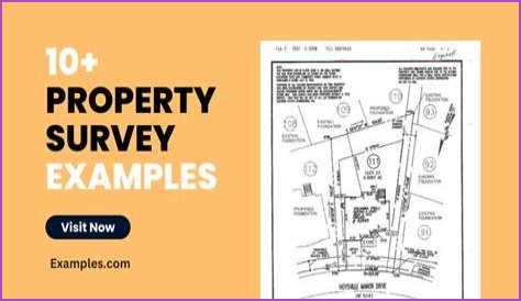 How much does a full property survey cost?